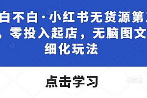 绅白不白·小红书无货源第五版,零投入起店,无脑图文精细化玩法