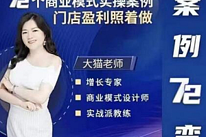 大猫老师案例72变,72个商业模式实操案例,门店盈利照着做
