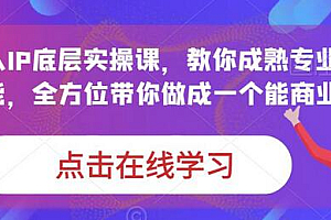 蟹老板·打爆个人IP底层实操课,教你成熟专业的打造IP技能,全方位带你做成一个能商业化IP