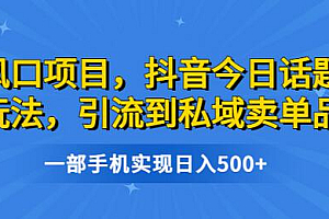 风口项目,抖音今日话题玩法,引流到私域卖单品,一部手机实现日入500+