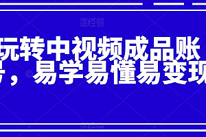 玩转中视频成品账号,易学易懂易变现
