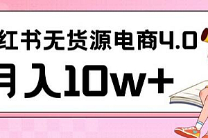 小红书新电商实战,无货源实操从0到1月入10w+联合抖音放大收益