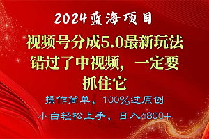 (11032期)2024蓝海项目,视频号分成计划5.0最新玩法,错过了中视频,一定要抓住…