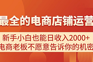 (11266期)电商店铺运营教学,新手小白也能日收入2000+,电商老板不愿意告诉你的机密