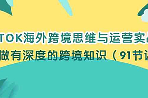 TIKTOK海外跨境思维与运营实战课,只做有深度的跨境知识(91节课)