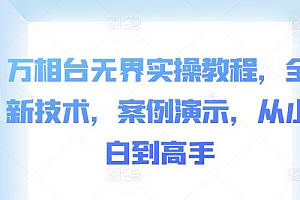万相台无界实操教程,全新技术,案例演示,从小白到高手