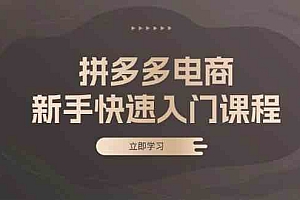 拼多多电商新手快速入门课程:涵盖基础、实战与选款,助力小白轻松上手