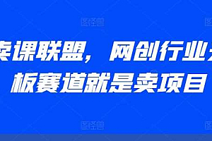 AI卖课联盟,网创行业天花板赛道就是卖项目