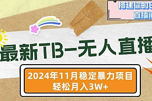 【最新TB-无人直播】11月最新,打造你的日不落直播间,轻松月入过W【揭秘】