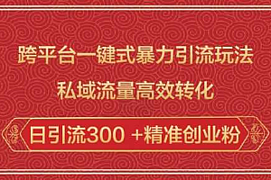 跨平台一键式暴力引流玩法,私域流量高效转化日引流300 +精准创业粉