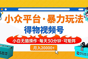 (14194期)小众平台暴力玩法,一键搬运爆款视频,可矩阵小白无脑操作,每天30分钟…