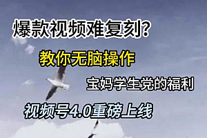 视频号4.0重磅上线,爆款视频难复刻?教你无脑操作宝妈学生党的福利【揭秘】