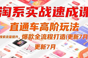 (15374期)淘系实战速成课,直通车高阶玩法,搜索流量提升,爆款全流程打造(更新7月)