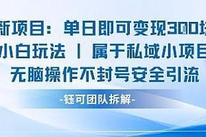 新项目单日即可变现3张的小白玩法无脑操作不封号安全引流