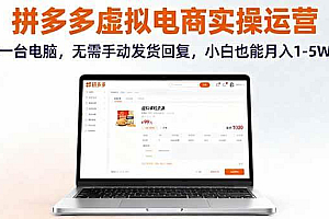 (16138期)拼多多虚拟电商实操运营,一台电脑,无需手动发货回复,小白也能月入1-5W