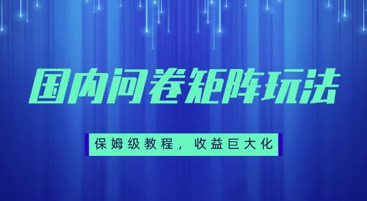 保姆级教程,国内问卷矩阵玩法,轻松赚收益