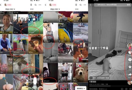 抖音最新双图文卡模板搬运技术,安卓苹果通用,百万千万播放嘎嘎爆