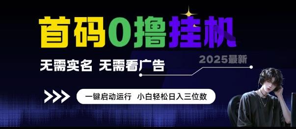 首码0撸挂G项目,无需实名无需看广告 一键启动运行,小白轻松日入三位数【揭秘】