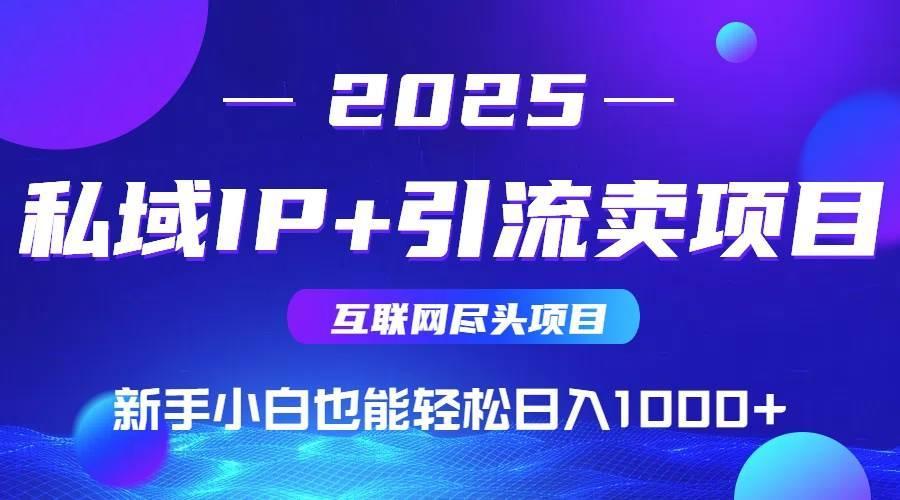 (15531期)2025网创尽头项目,私域IP+引流,新手小白也能在家日入1000+