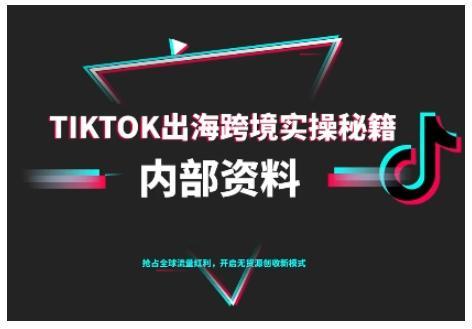 TikTok跨境电商0-1搭建运营,TK出海跨境实操秘籍(10月更新)