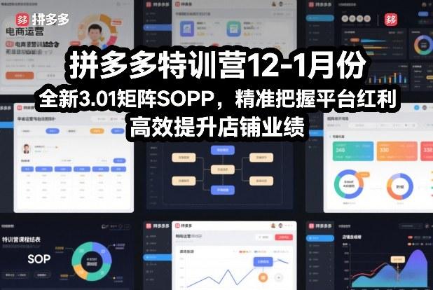 拼多多特训营12-1月份,全新3.01矩阵Sop,精准把握平台红利,高效提升店铺业绩